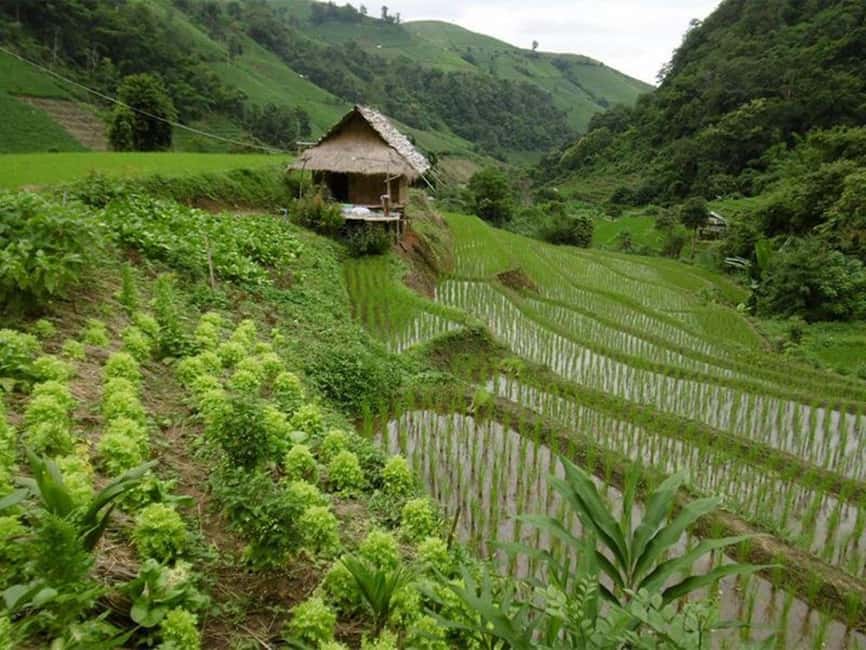 image n.55 of Chiang Mai: Doi Inthanon Trip with Pha Dok Siew Guided Trek activity in Chiang Mai, uploaded by supplier
