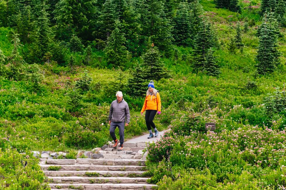 image n.5 of From Seattle: Mount Rainier National Park Guided Tour activity in Washington (State), uploaded by supplier