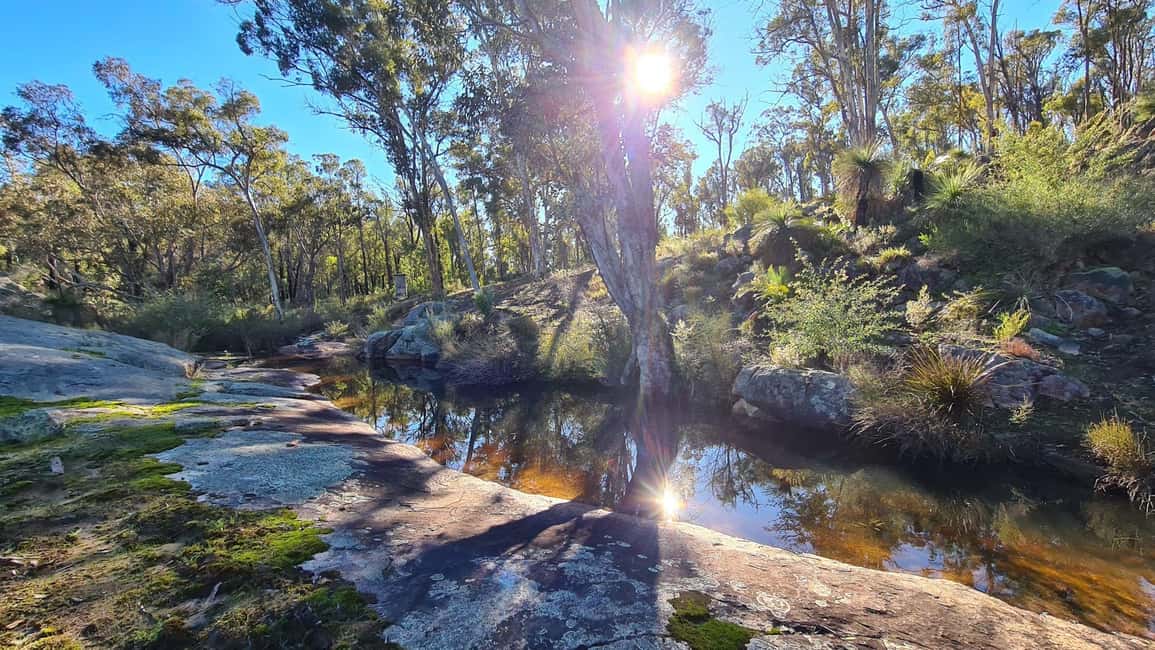 image n.1 of Perth: Hike & Meditation with Morning Tea activity in Perth, uploaded by supplier