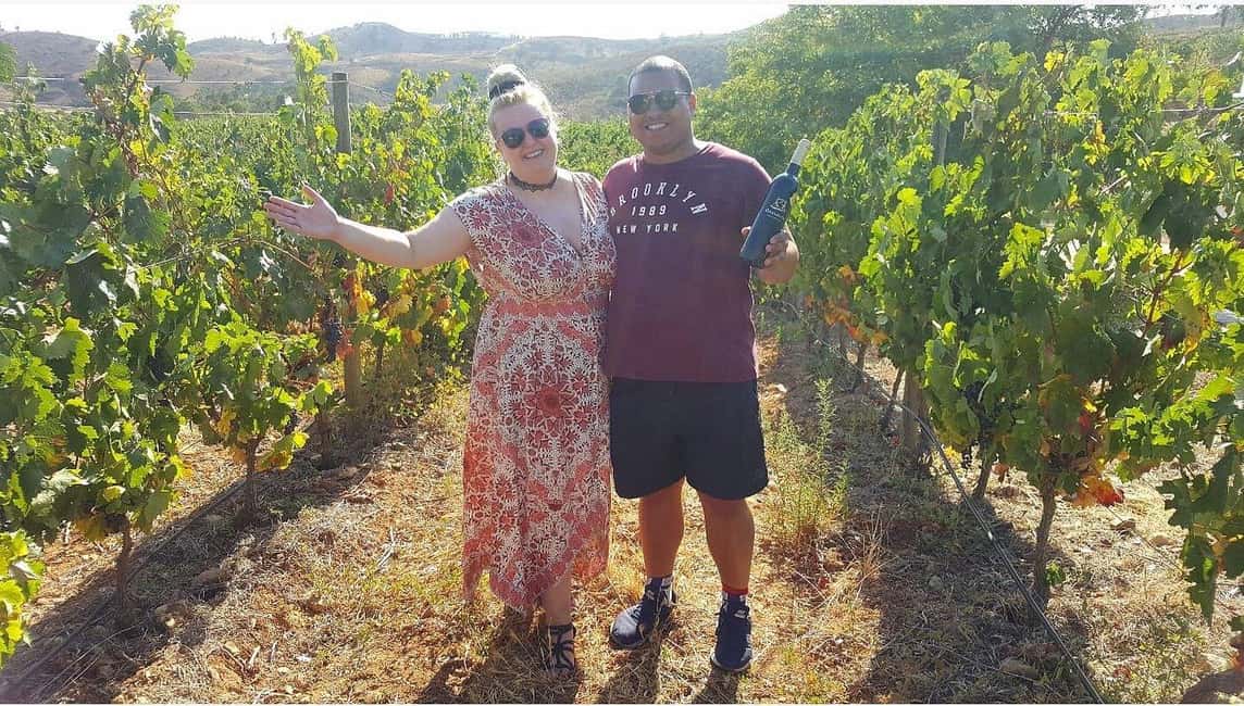 image n.15 of From Albufeira: Full-Day Wine Tasting Tour with a Guide activity in Monchique, uploaded by supplier