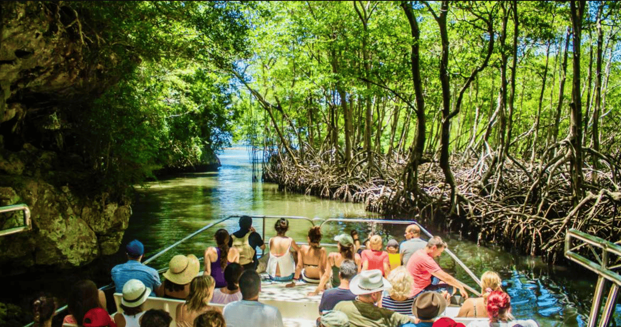image n.1 of Punta Cana: Los Haitises National Park Full-Day Tour activity in Samaná Province, uploaded by supplier