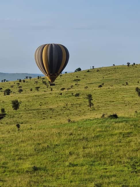 image n.9 of Serengeti: 3-Day Migration Safari with Hot Air Balloon Ride activity in Mara Region, uploaded by supplier