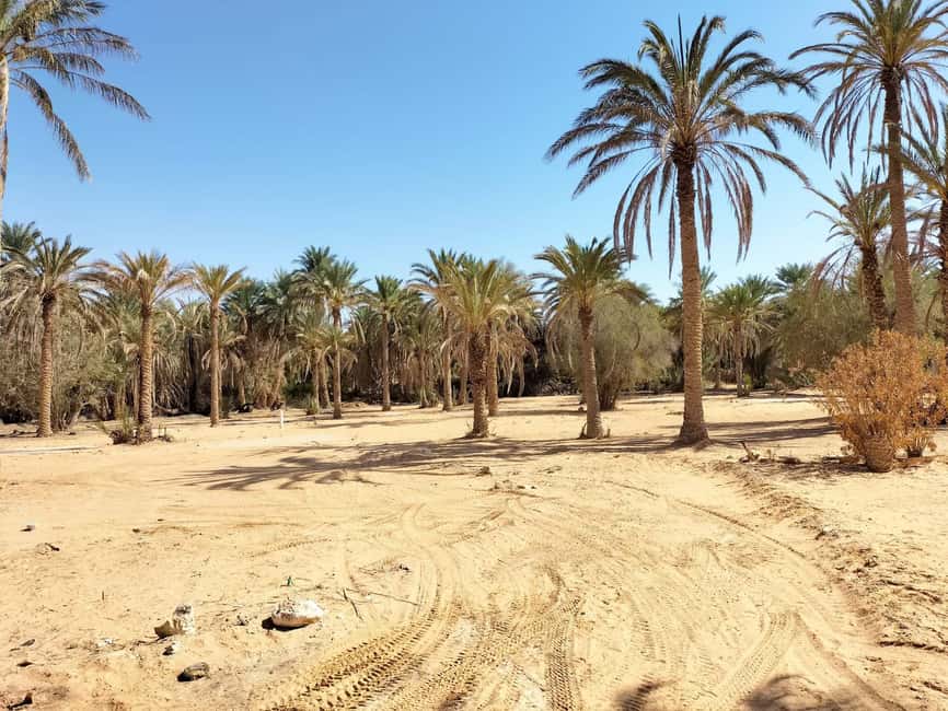 image n.25 of From Yasmine Hammamet/Kantaoui: 2-Day Sahara Tour with Meals activity in Tozeur Governorate, uploaded by supplier