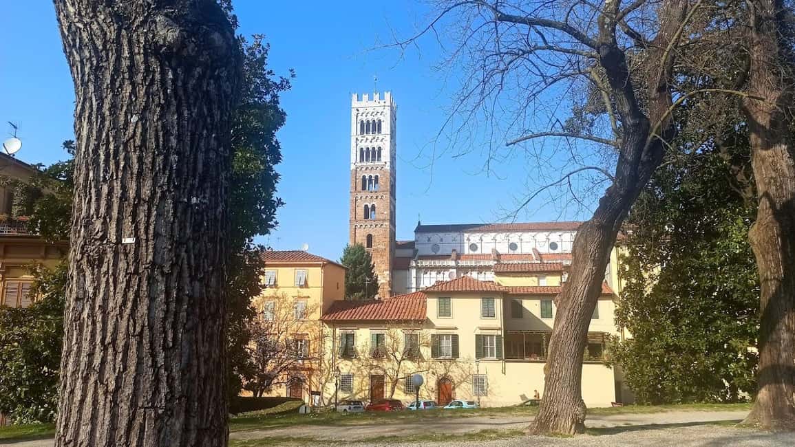 image n.19 of Visit Pisa & Lucca with lunch in a family-run winery activity in Pisa, uploaded by supplier