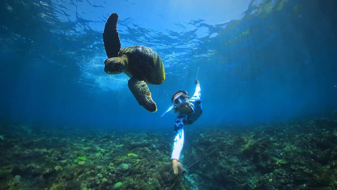 image n.9 of From Bali: Swim with Manta Rays in Nusa Penida activity in Bali, uploaded by supplier