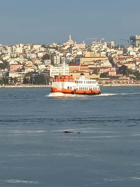 image n.9 of Lisbon: Belem Tour & Jeronimos Monastery Skip-the-Line Entry activity in Lisbon, uploaded by supplier