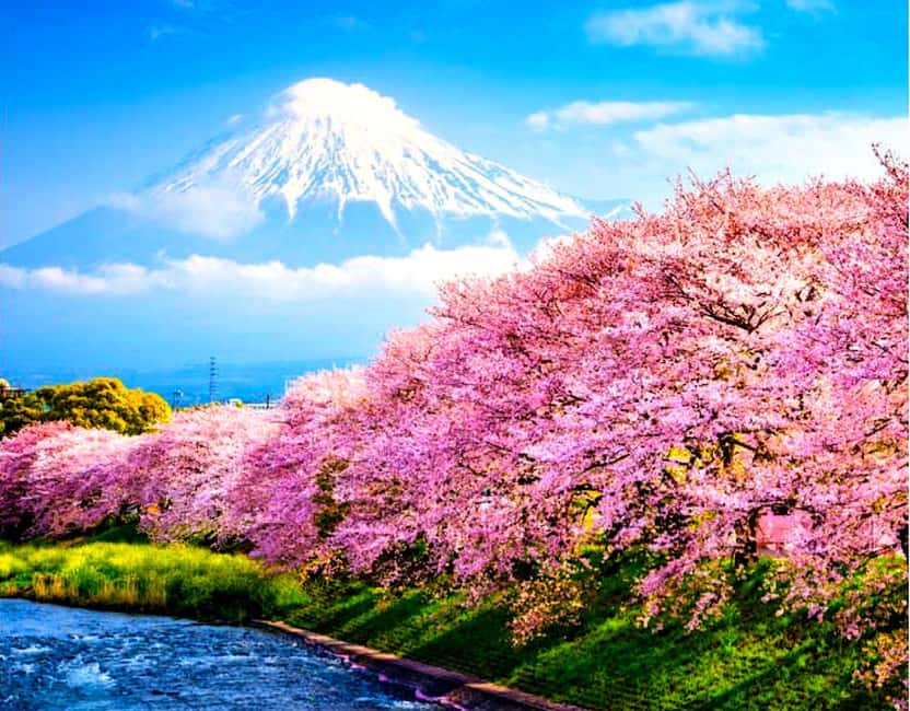 image n.1 of Private Mount Fuji sightseeing Day trip with English Guide activity in Fujikawaguchiko, uploaded by supplier