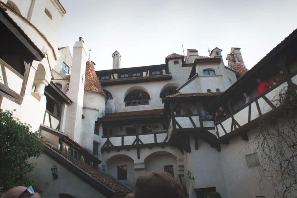 image n.11 of Legends&Wildlife Awaits: Dracula's Castle & Bear Sanctuary activity in Brasov, uploaded by supplier
