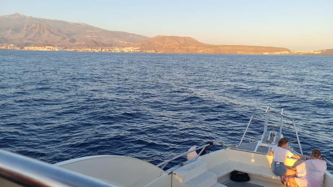 image n.8 of Los Cristianos: Eco Yacht Whale Watching Tour at Sunset activity in Canary Islands, uploaded by supplier