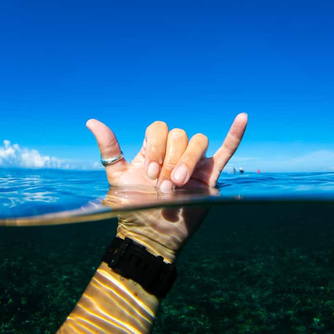 image n.4 of Mamanuca Islands: A 9-Hour Island-Hopping Day Trip activity in Central Division Fiji, uploaded by supplier