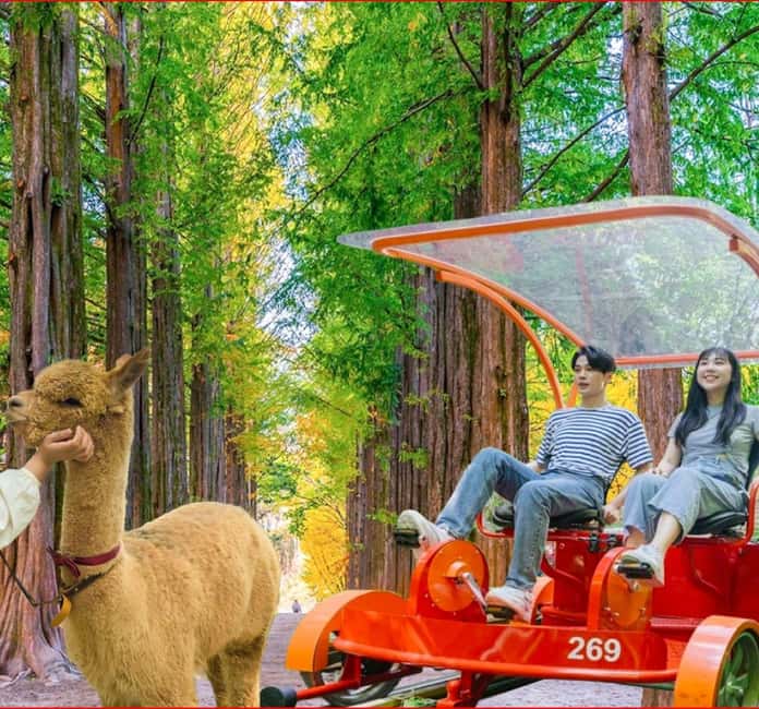 imagen n.º 3 de Seúl: Excursión de un día a Gangwon-do con el Mundo de la Alpaca y la Isla de Nami actividad en Gapyeong-gun, subida por el proveedor