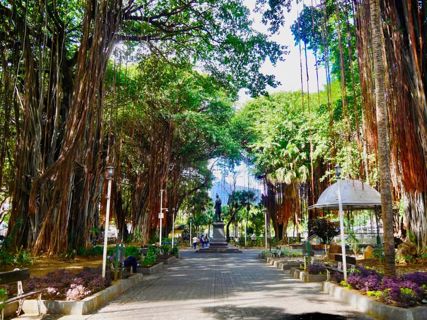 image n.10 of Port Louis: Street Eats and City Highlights Walking Tour activity in Port Louis, uploaded by supplier