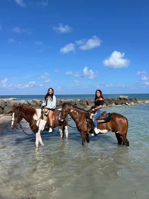 bild nr.4 av Miami: Ridning och naturstig på stranden aktivitet i Miami, uppladdad av arrangören