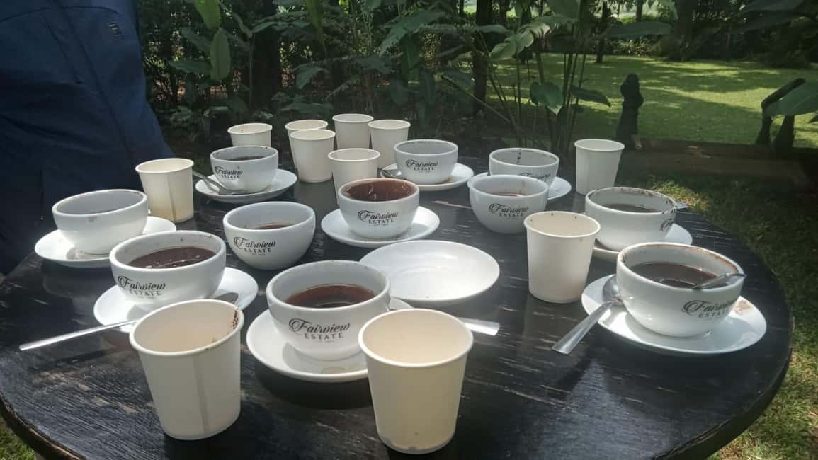 image n.65 of Coffee Farm Tour (Fairview) activity in Kiambu, uploaded by supplier