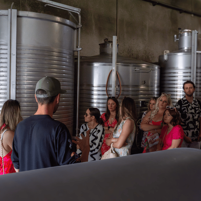 image n.32 of From Albufeira: Full-Day Wine Tasting Tour with a Guide activity in Monchique, uploaded by supplier
