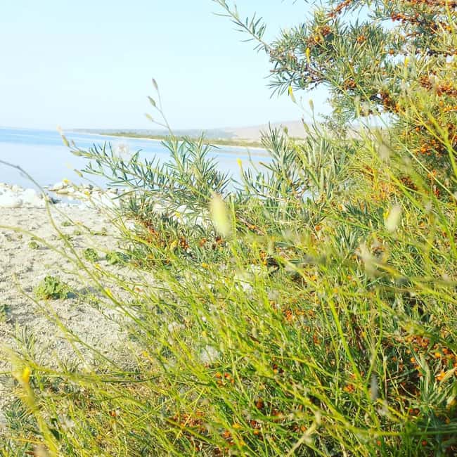 billede nr.5 af aktiviteten Issyk-Kul-søen, Barskoon-vandfald og kløfter (2 dage) i Issyk-Kul Region, uploadet af udbyder