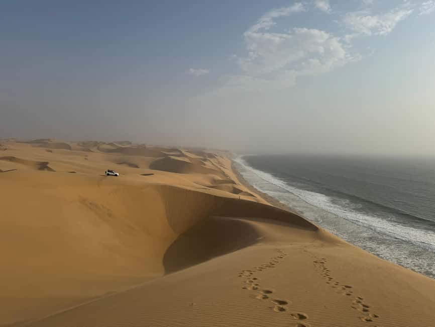 image n.82 of Walvisbay: Sandwich Harbour 4x4 Tour-Unparalleled Experience activity in Erongo, uploaded by supplier