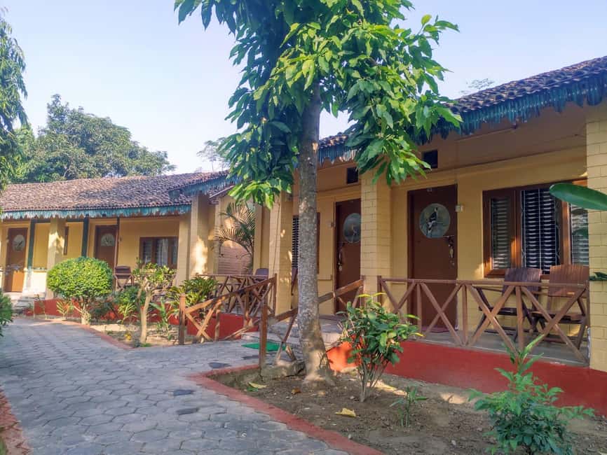 image n.8 of From Kathmandu/Pokhara: 3 Day All-Inclusive Chitwan Safari activity in Pashchimanchal, Western Region, uploaded by supplier