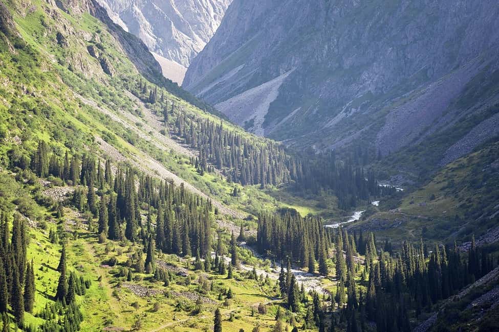 billede nr.2 af aktiviteten Fra Bishkek: Halvdagsudflugt til Ala-Archa Nationalpark i Bishkek, uploadet af udbyder