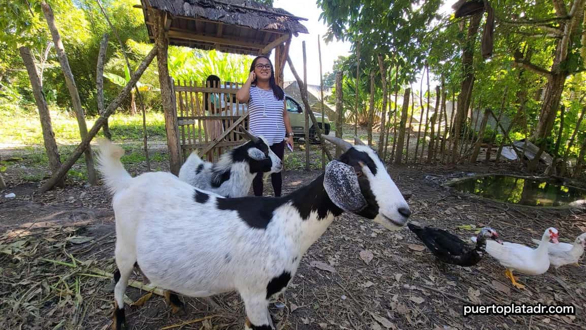 image n.2 of Dominican Republic Countryside Safari Tour from Puerto Plata activity in Puerto Plata, uploaded by supplier