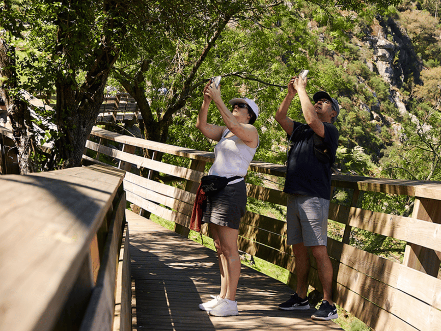 image n.12 of From Porto: Arouca 516 and Paiva Walkways Guided Day Trip activity in Arouca, uploaded by supplier