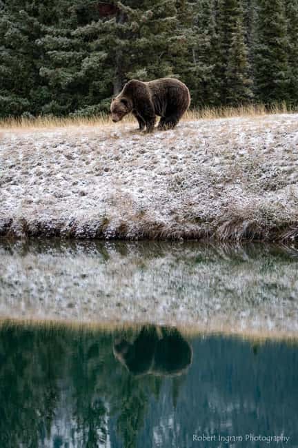 image n.18 of Louise Louise, Banff Gondola, Minnewanka & Emerald Lakes activity in Banff, uploaded by supplier
