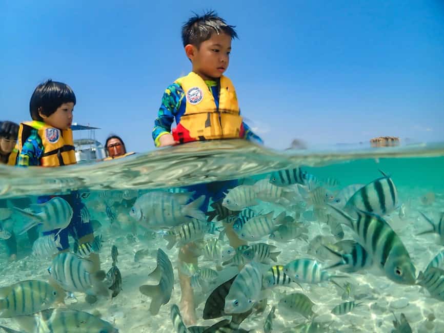 imagen n.º 7 de Bangkok: Excursión de un día a la Isla de Nemo con fotos de drones y almuerzo actividad en Pattaya, subida por el proveedor