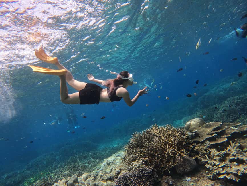 image n.8 of From Bali: Swim with Manta Rays in Nusa Penida activity in Bali, uploaded by supplier