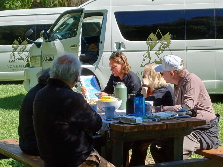 image n.2 of Christchurch: Akaroa and Banks Peninsula Day Trip activity in Diamond Harbour, New Zealand, uploaded by supplier