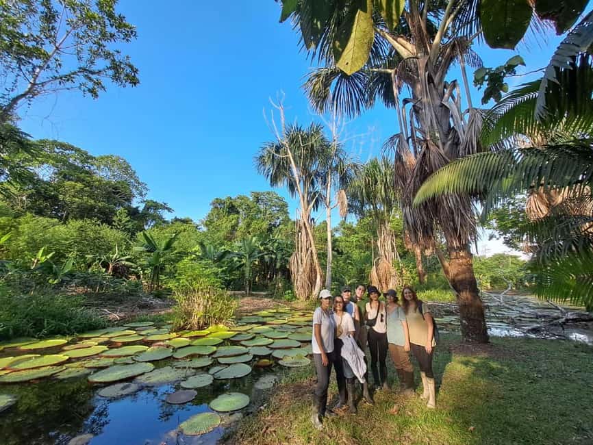 image n.11 of From Iquitos: 3-Day Amazon Jungle Adventure Trip activity in Iquitos, uploaded by supplier