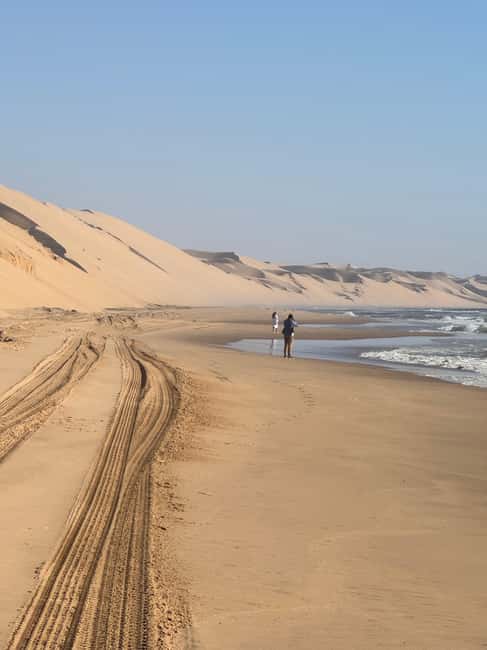 image n.86 of Walvisbay: Sandwich Harbour 4x4 Tour-Unparalleled Experience activity in Erongo, uploaded by supplier