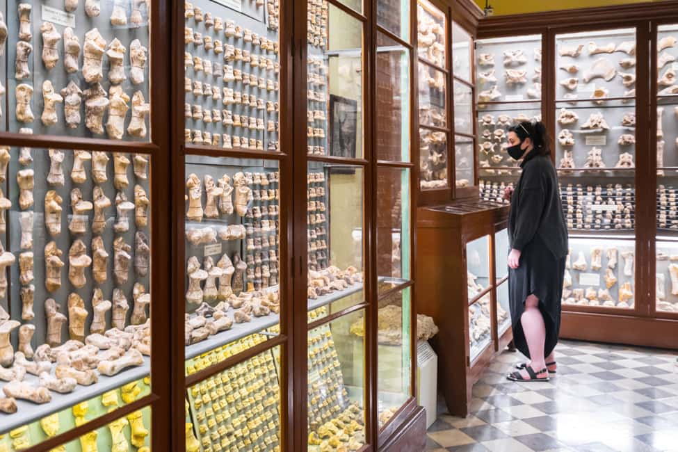 imagem n.9 de Visita aos templos pré-históricos de Malta atividade em Qrendi, carregada pelo fornecedor