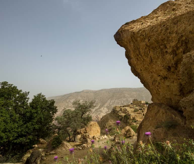 image n.3 of From Aqaba: Dana Nature Reserve Private Day Trip with Lunch activity in Aqaba, uploaded by supplier