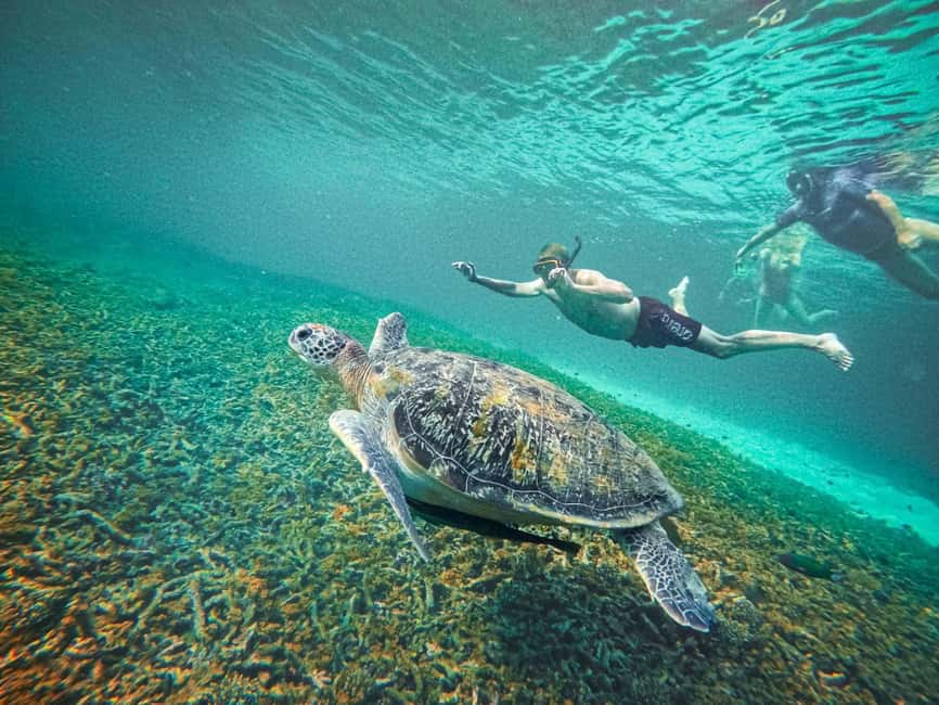 billede nr.22 af aktiviteten Koh Tao: Koh Nangyuan & Hidden Bays snorkeltur med frokost i Thailandbugten, uploadet af udbyder