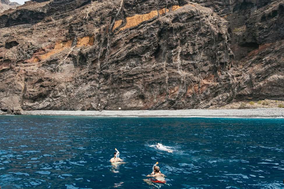 image n.4 of Costa Adeje: Whale & Dolphin Eco-Cruise with Snacks & Drinks activity in Costa Adeje, uploaded by supplier