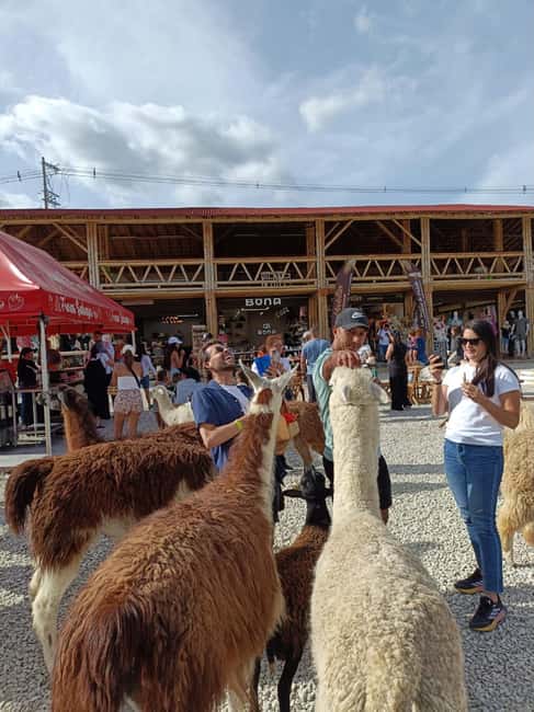 image n.16 of Medellin: Guatape Tour with Boat, Breakfast, Lunch & Llamas activity in Marinilla, uploaded by supplier