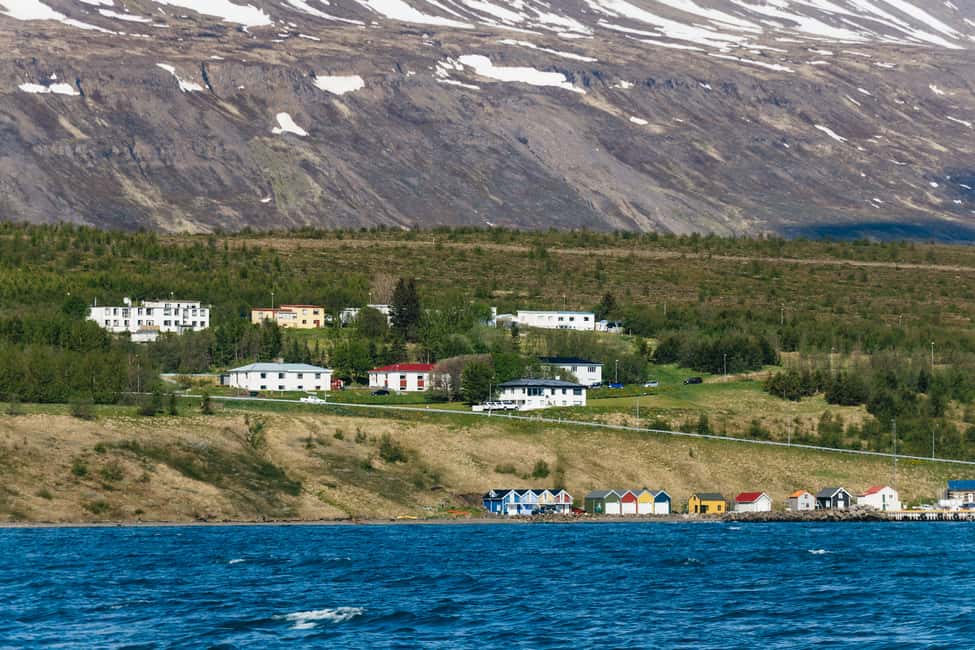 bild nr.10 av Akureyri: 3-timmars klassisk valskådningstur med fartyg aktivitet i Norðurland eystra (Nordöstra regionen), uppladdad av arrangören