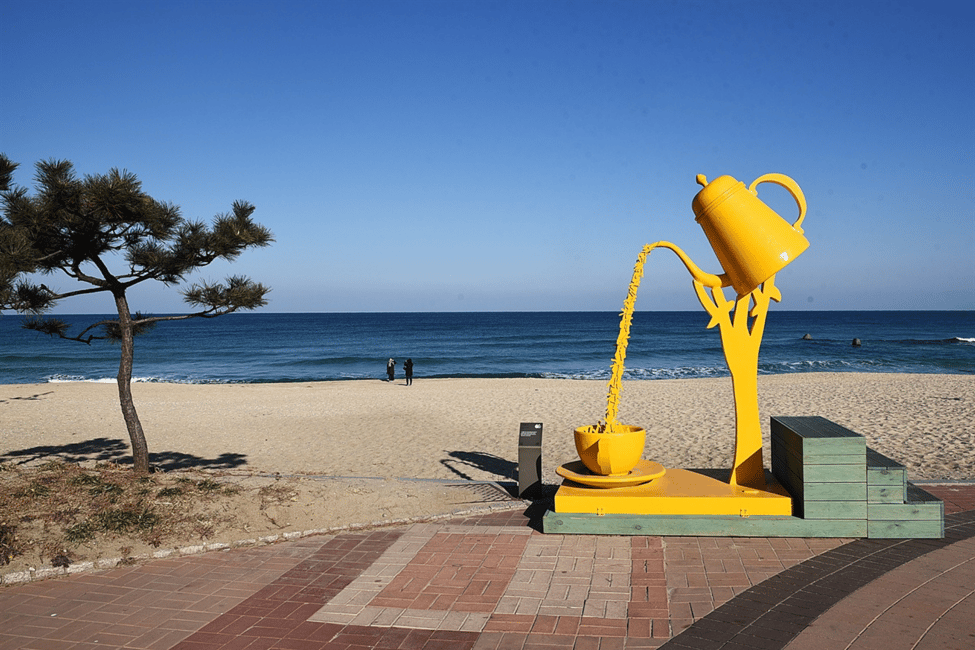 image n.31 of Seoul: Gangneung from K-Pop Band Bus Stop to Anmok Beach activity in Gangneung-si, uploaded by supplier