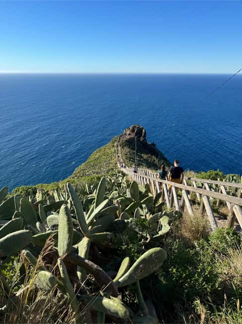 image n.2 of Madeira: Pico do Arieiro & Laurissilva Forest - East tour activity in Madeira, uploaded by supplier