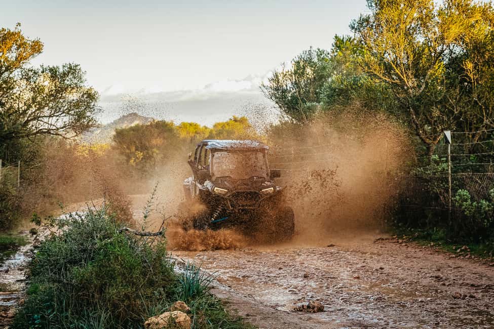 Immagine nº 16 di Palma di Maiorca: Tour in buggy fuori strada o su strada con 2 o 4 posti a sedere attività a Palma di Maiorca, caricata dal fornitore