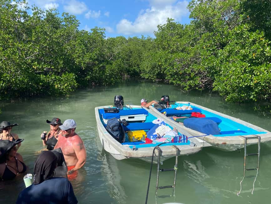 imagen n.º 6 de Cayo Hueso Excursión en lancha por los Manglares y los Bares actividad en Cayo Hueso, subida por el proveedor