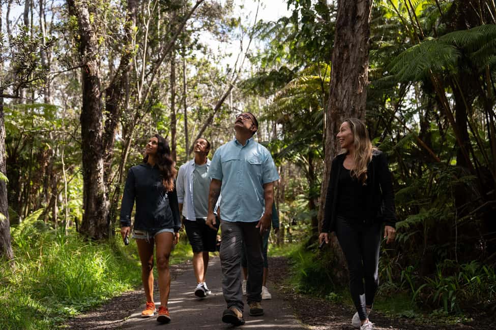 Immagine nº 1 di Tour Esploratore del Vulcano attività a Hilo, caricata dal fornitore