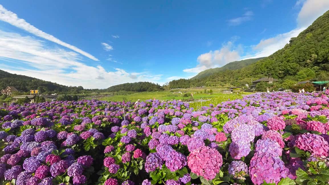 Image N°15 de Au départ de Taipei : excursion d'une journée à Beitou et au parc national de Yangmingshan activité à Taipei, publiée par le prestataire