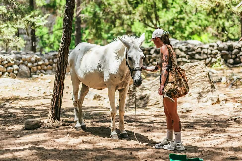 bilde nr.19 av Fra Chania: Heldagsutflukt til Samaria-kløften med guide aktivitet i Chania, lastet opp av leverandør