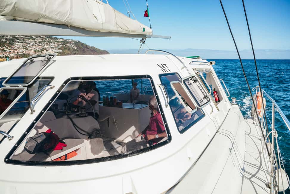 Bild Nr. 7 von Funchal: Delfin- und Walbeobachtung mit dem Luxuskatamaran Aktivität in Câmara de Lobos, hochgeladen vom Anbieter