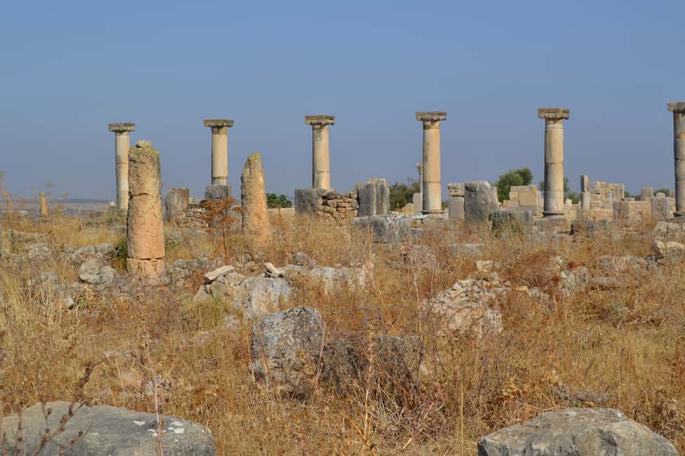 billede nr.48 af aktiviteten Dagstur fra Fes til Volubilis via Meknes og Moulay Idriss i Meknès, uploadet af udbyder
