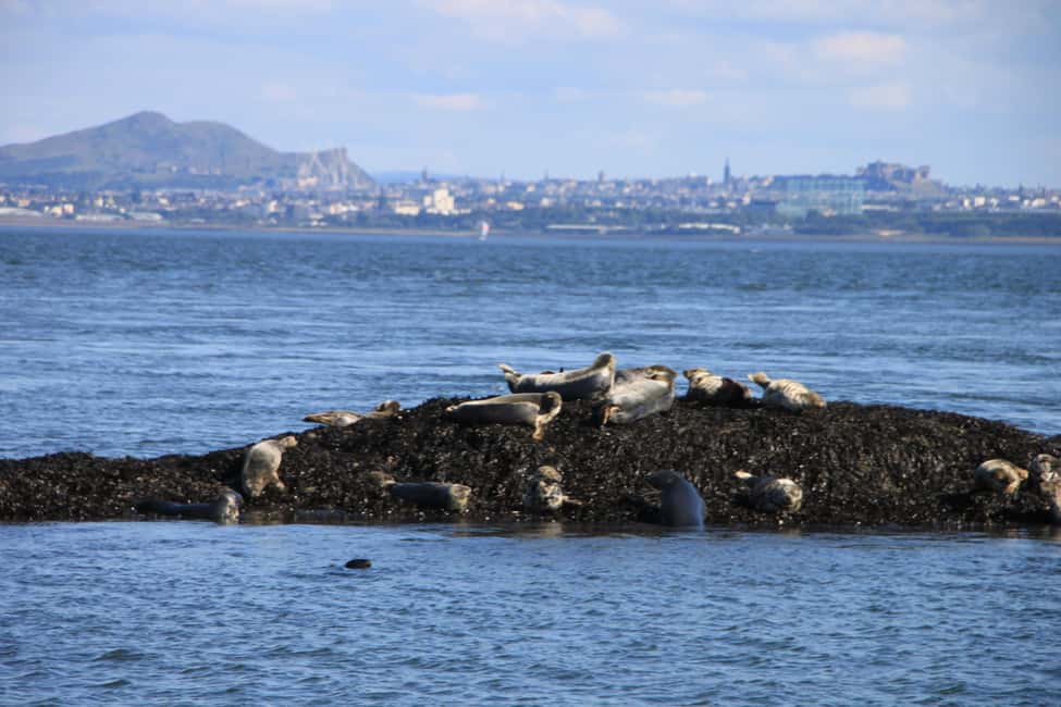 image n.17 of Edinburgh: 'Firth of Forth' Three Bridges Sightseeing Cruise activity in Fife, uploaded by supplier