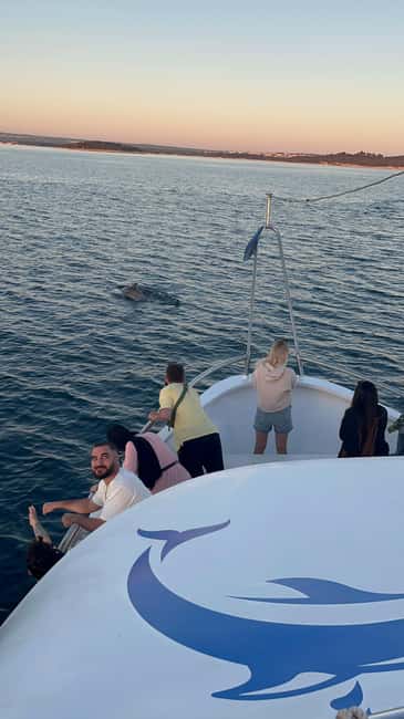 Bild Nr. 44 von Pula: Delfinbeobachtung & Sonnenuntergangskreuzfahrt mit Abendessen & Getränken Aktivität in Pula, Kroatien, hochgeladen vom Anbieter