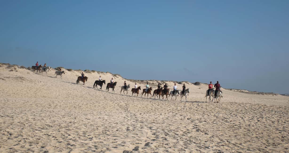 imagem n.13 de Melides: Passeios a cavalo na praia de Melides atividade em Melides, carregada pelo fornecedor