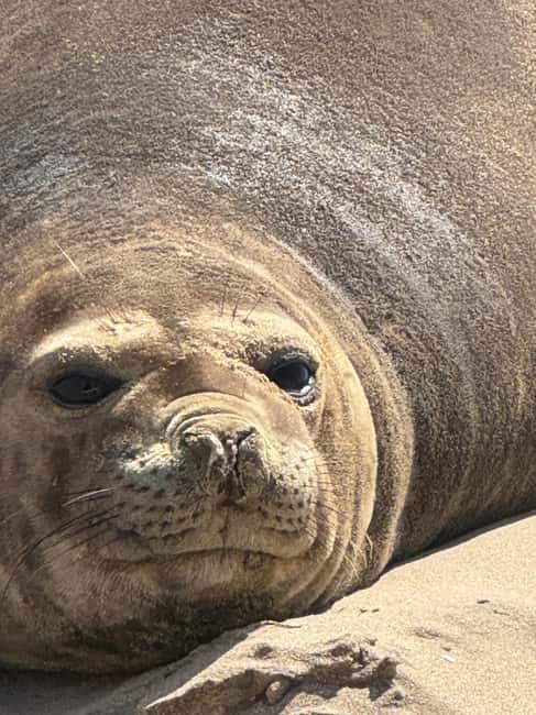 image n.20 of Walvisbay: Sandwich Harbour 4x4 Tour-Unparalleled Experience activity in Erongo, uploaded by supplier